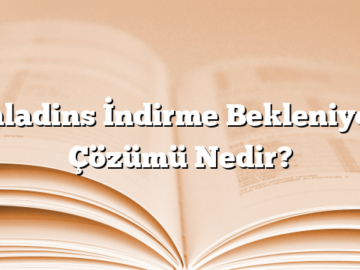 Paladins İndirme Bekleniyor, Çözümü Nedir?